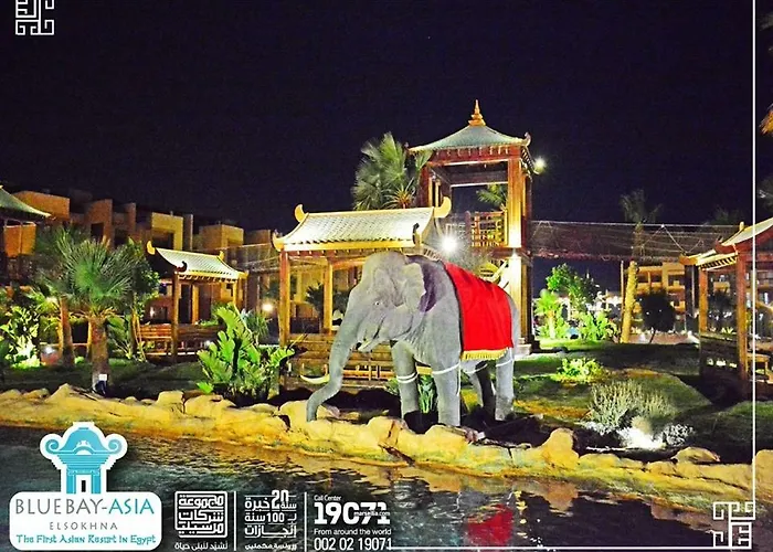 Mohamed Afifi Bluebay Asia - Families - Ground 2 Bed Rooms