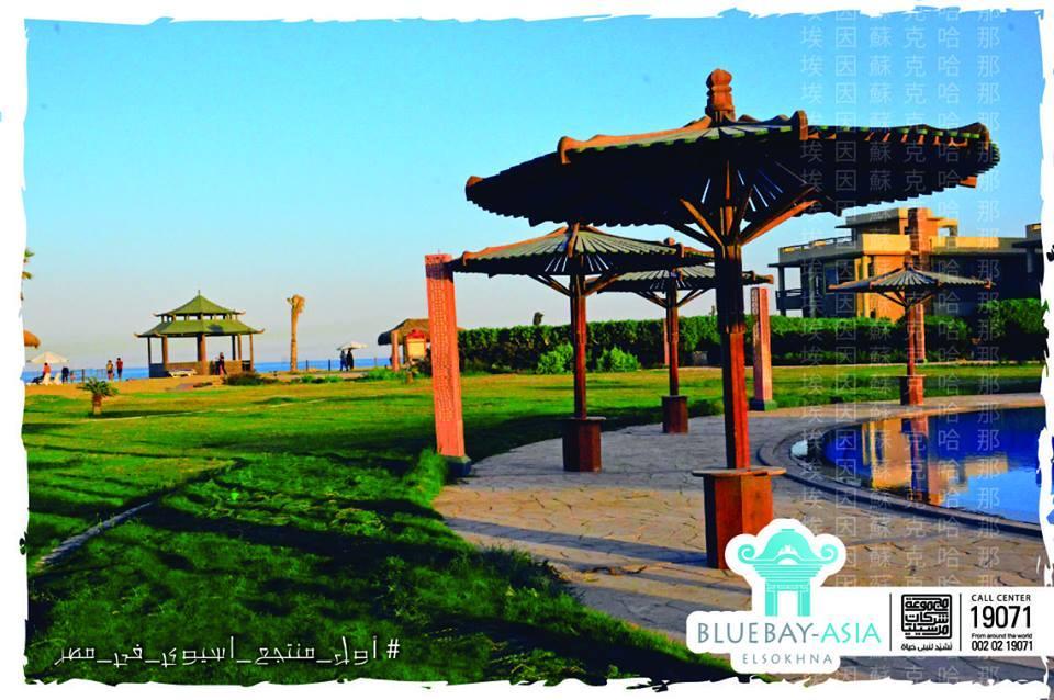 Mohamed Afifi Bluebay - Families - Ground 2 Bed *