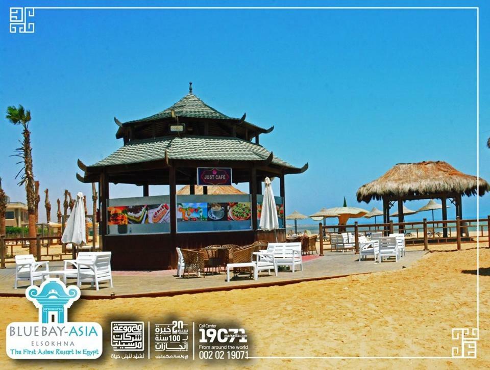 Mohamed Afifi Bluebay - Families - Ground 2 Bed Daire