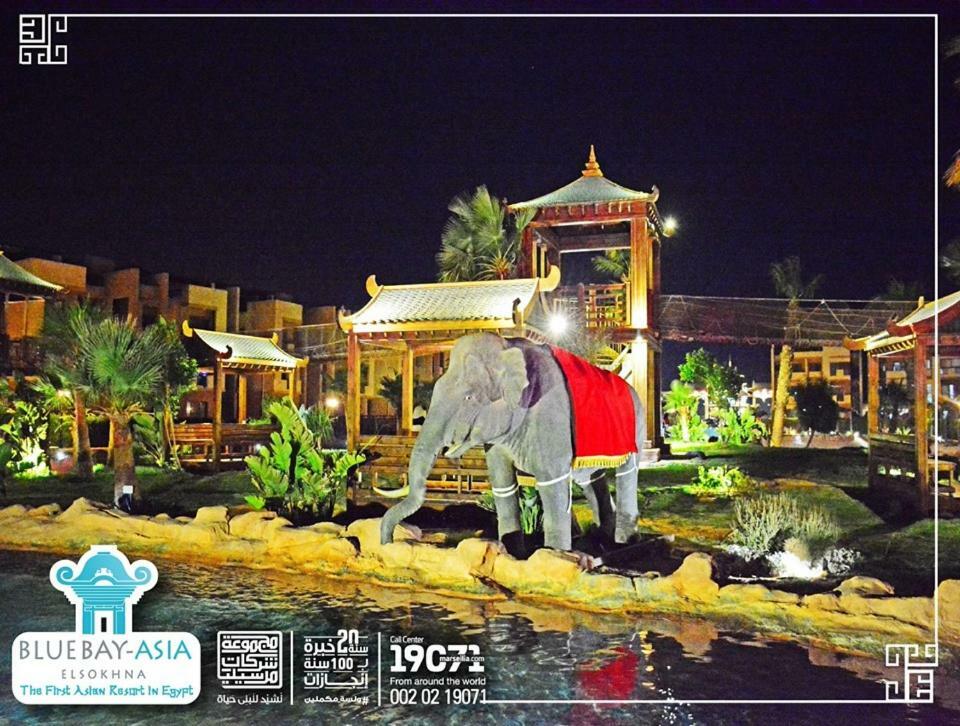 Mohamed Afifi Bluebay - Families - Ground 2 Bed * Ain Sukhna